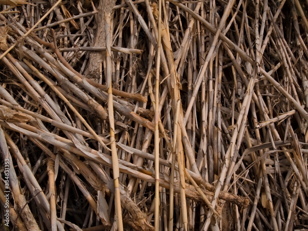 Close-up of stacked dry reeds Close-up of stacked dry reeds