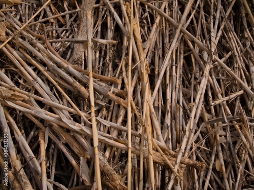 Close-up of stacked dry reeds