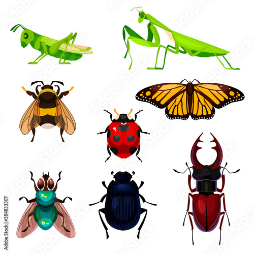 Cartoon Color Different Insects Icons Set. Vector