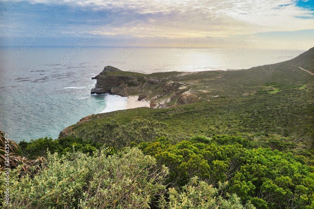 
blooming ocean shore