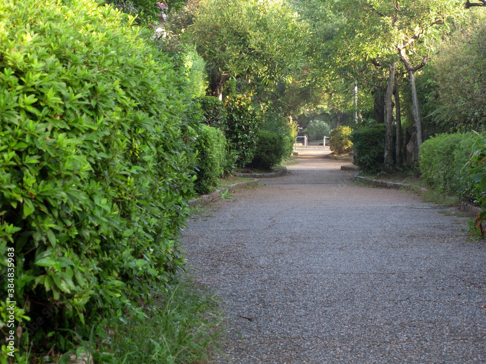 住宅団地の散歩道 住宅団地の散歩道