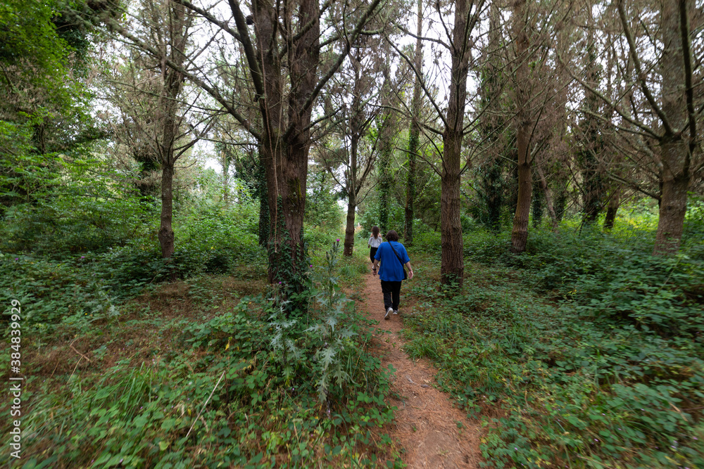 a lady and a young girl walk through the field, they are surrounded by lush green trees
