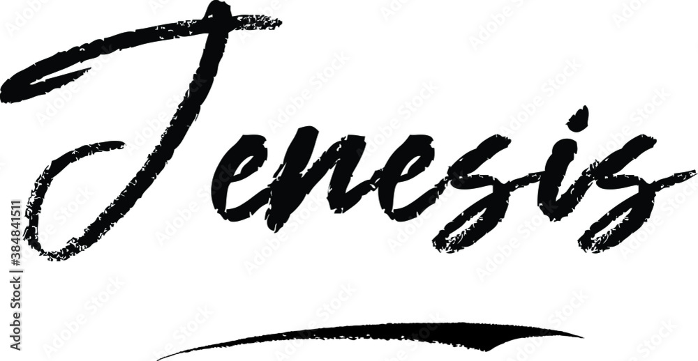 Jenesis-Female name Modern Brush Calligraphy on White Background Jenesis-Female name Modern Brush Calligraphy on White Background