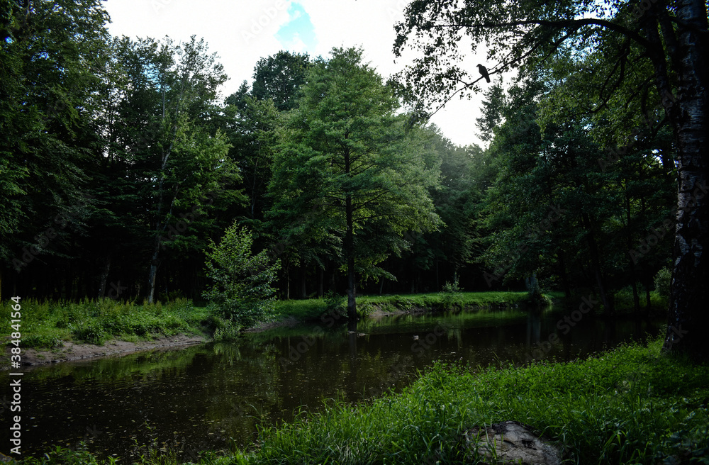 pond in the park pond in the park