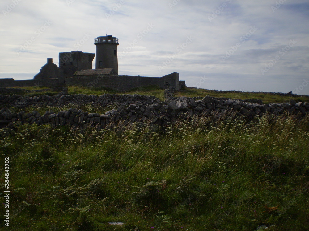 Irish landscape and old ruins 