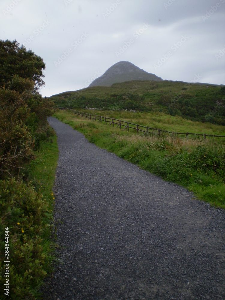 Rural road through green landscape in Ireland
