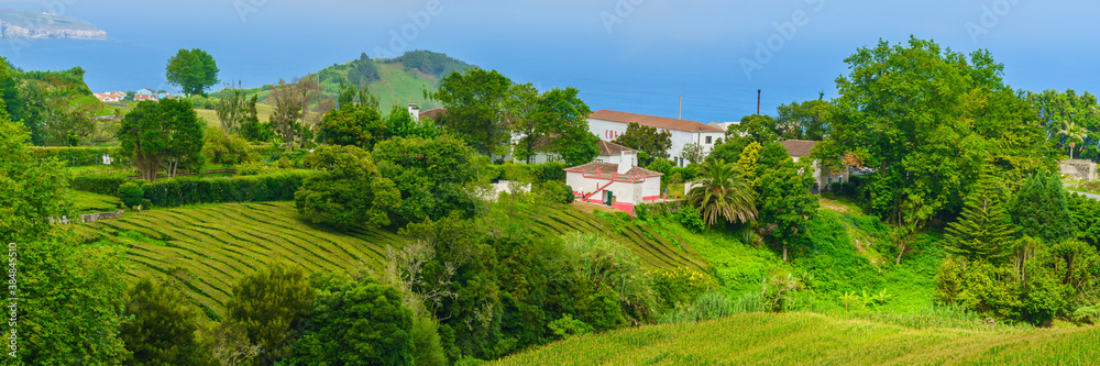 Panorama of Cha Gorreana tea factory plantation on Sao Miguel island, Azores, Portugal