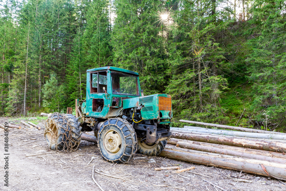 Harvester, heavy forestry vehicle (tractor) with chains on wheels, next to the cut tree logs in Tatra Mountains, Poland.