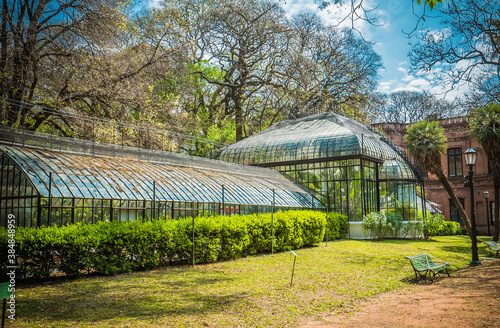 glass greenhouse in a summer park