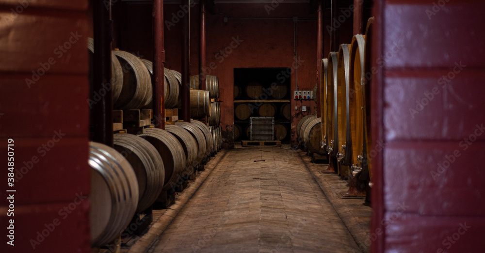 Wooden barrels for wine aging in the cellar. Italian wine.