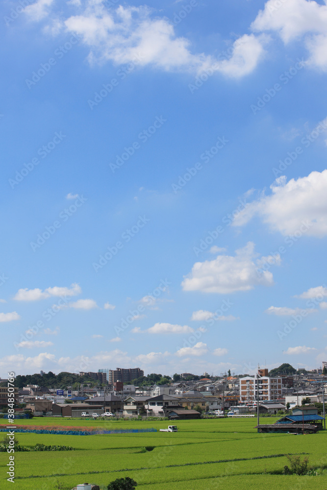 Obraz premium 町並