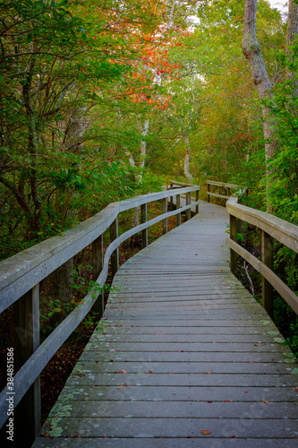 Curved boardwalk over the swamp at Beach Forest Park in Provincetown in Massachusetts