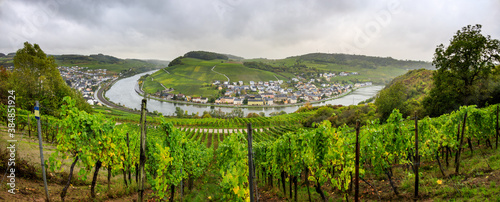 Tableau sur toile Hiking on the Moselsteig (hiking trail) in the Moselle valley on a rainy day, vi