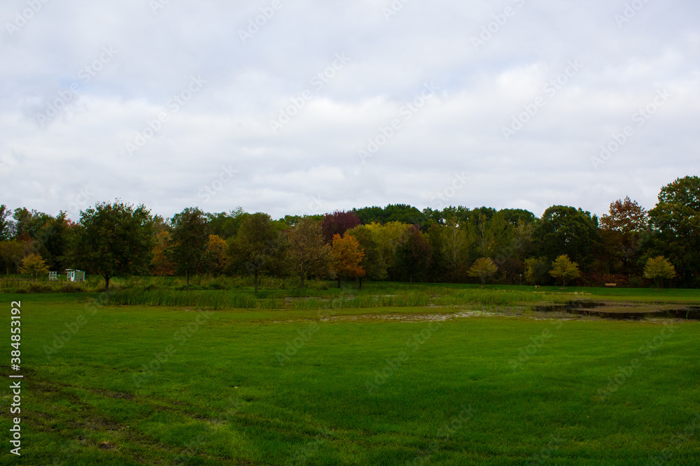 Landscape of farm with grass and trees in early fall.