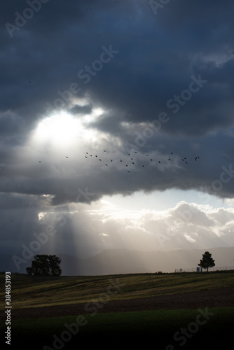 Beautiful sunrise with sunbeams breaking through the clouds. Background. Birds flying in the clouds. Concept of serenity and peace.