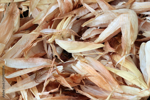 Dried corn leaves and husk as background