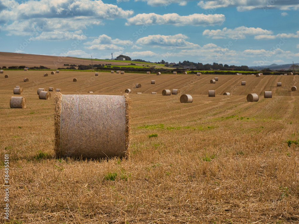 Hay bales in a harvested field of stubble at the end of summer in the UK