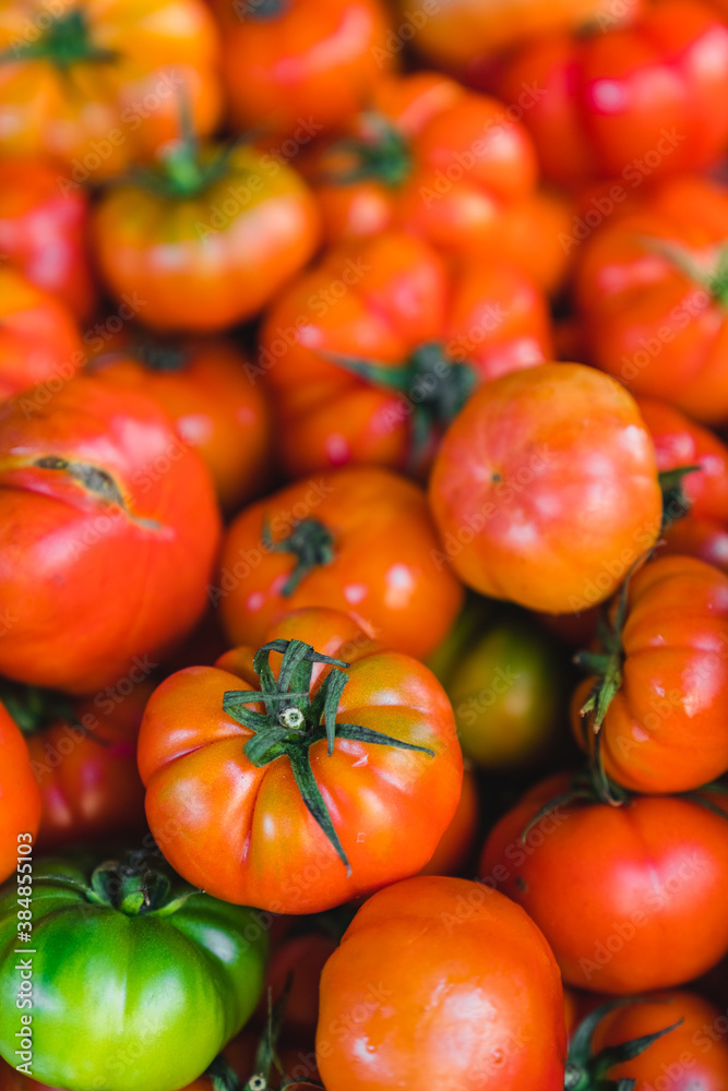 Fresh Tomatoes Background at the Farm Market Fresh Tomatoes Background at the Farm Market
