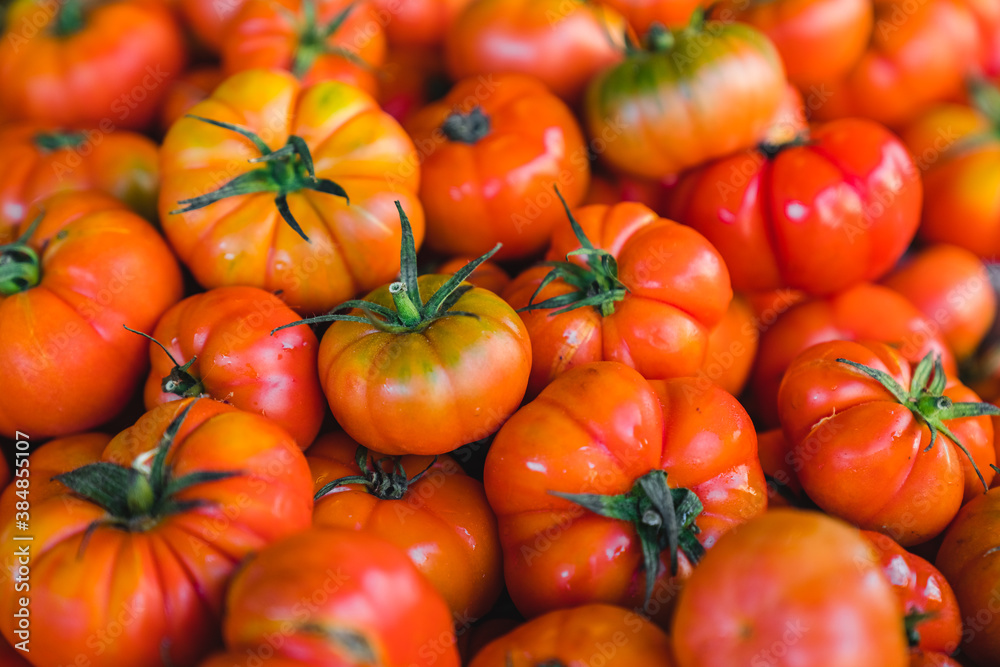 Fresh Tomatoes Background at the Farm Market Fresh Tomatoes Background at the Farm Market