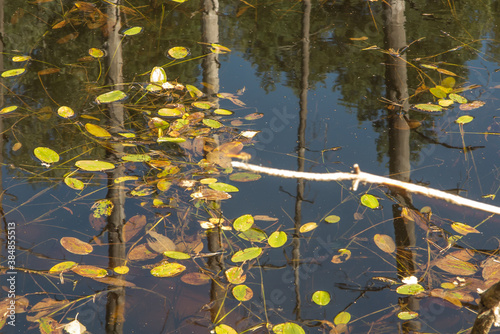 The pits were flooded with water from the iron mine that was sunk a hundred years ago. photo