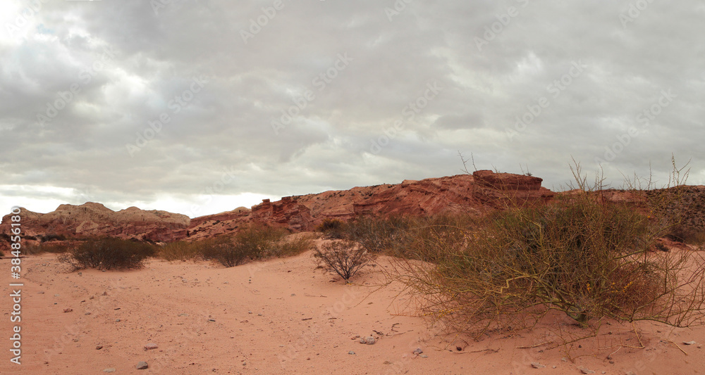 Red canyon. View of the arid desert, red sand, shrubs bushes, sandstone and rocky formation under a cloudy sky.  