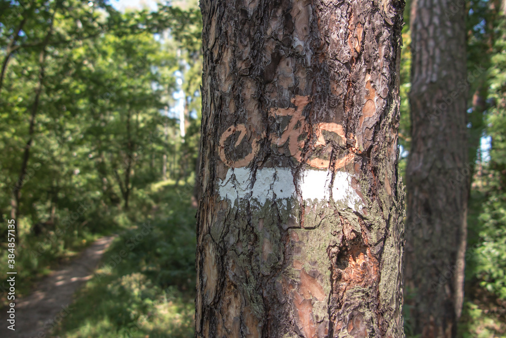 marking of the forest bicycle trail marking of the forest bicycle trail