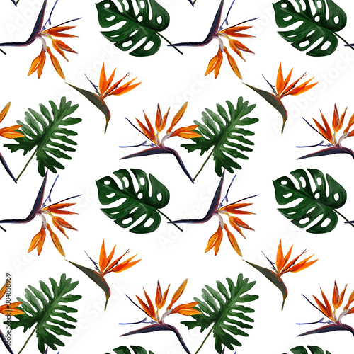 Seamless tropical pattern with  strelitzia with leaves on white background. Seamless pattern with colorful leaves of colocasia  filodendron  monstera. Exotic wallpaper. Hawaiian style.