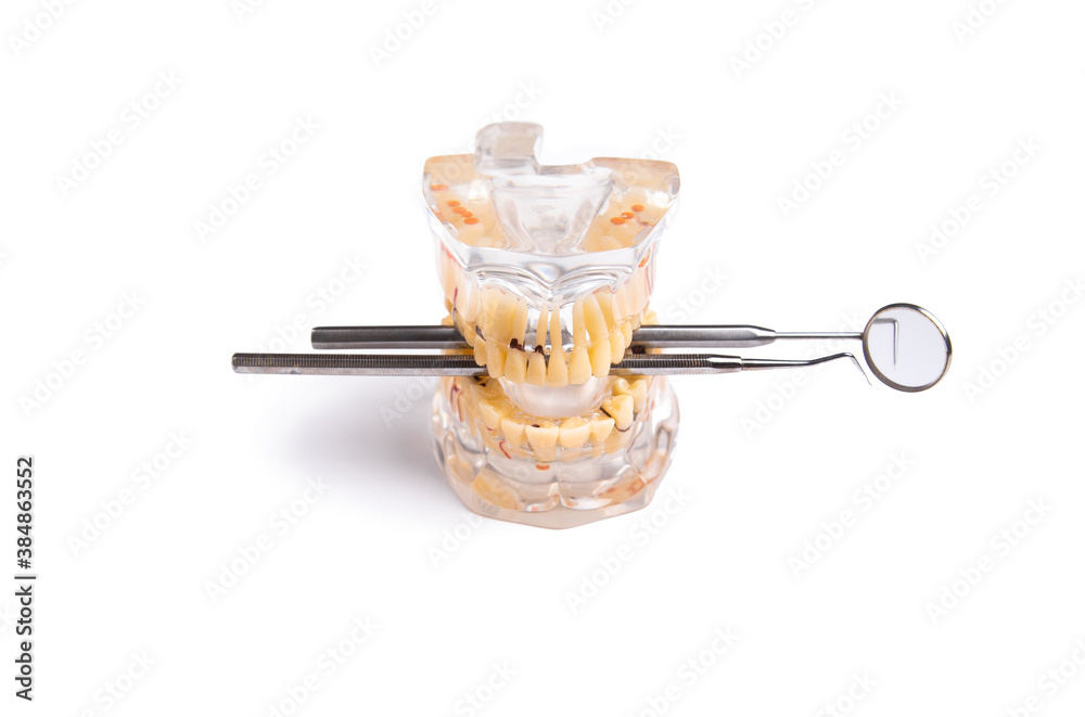 Fototapeta premium Dentist tools and artificial jaw on bright yellow and violet background. The concept of dental care and going to dentistry