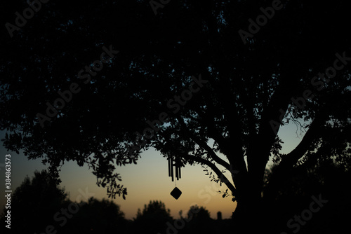 Wind chimes hanging from tree