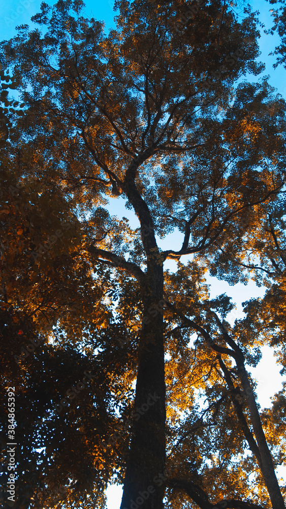 Obraz premium qweqew