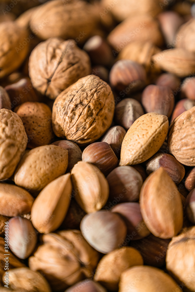 Raw walnuts put together with hazelnuts and Brazilian nuts Raw walnuts put together with hazelnuts and Brazilian nuts