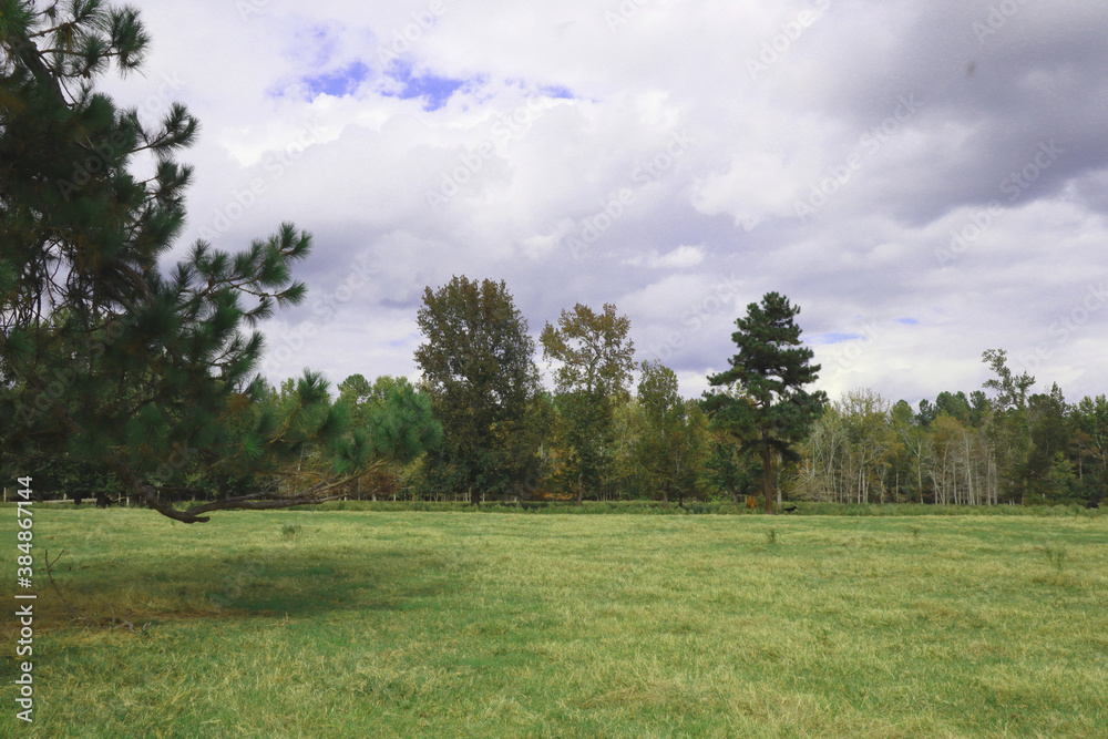 Country landscape with clouds and blue sky Country landscape with clouds and blue sky