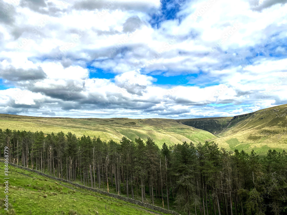 Looking over to the trees, valleys and moors, from, Greenfield Road, Oldham, UK