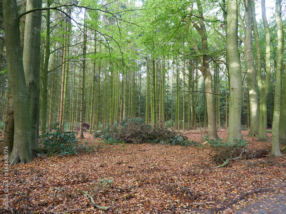 Ostfriesland Landschaft, Julianenpark Leer Ostfriesland Landschaft, Julianenpark Leer
