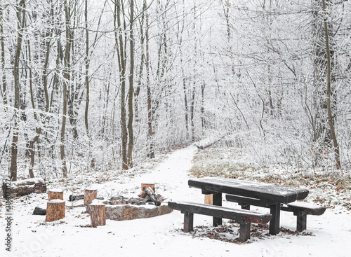 Bench in winter in the forest