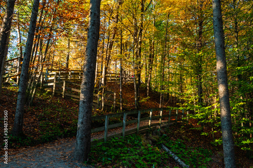 Walking in Chauveau Park