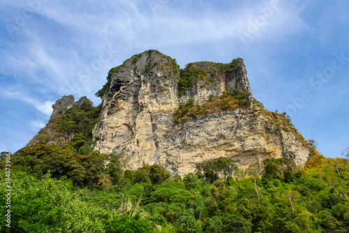 tree-covered rock, in the foreground tropical plants and trees, against the blue sky