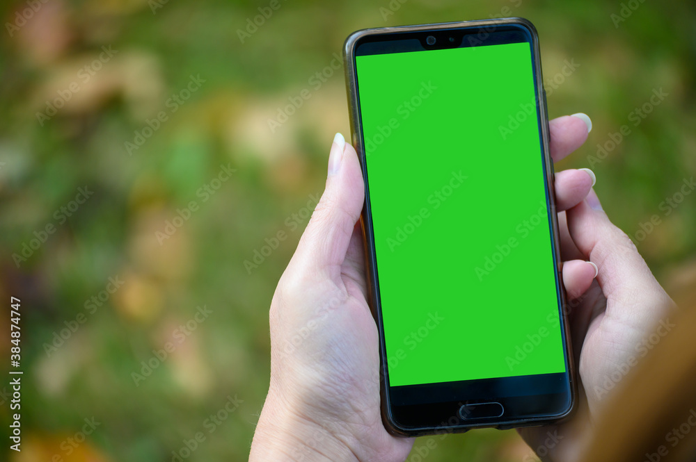 Woman's Hand holding phone with green screen on autumn blurred background