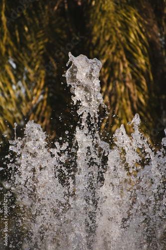 Agua