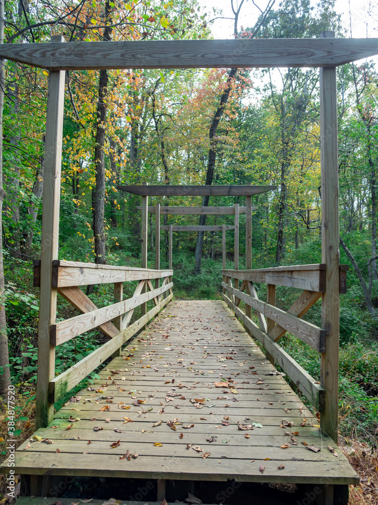 wooden bridge on the trail in the park in fall
