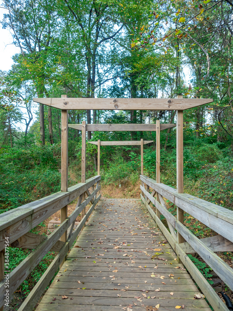 wooden bridge on the trail in the park in fall