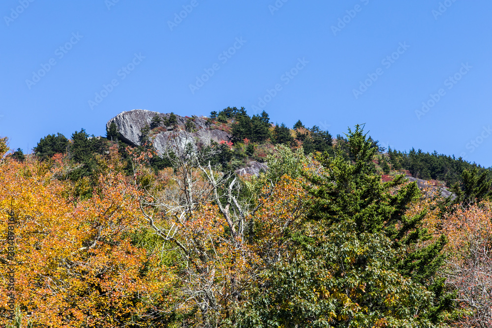 Gorgeous Autumn Mountain View from Grandfather Mountain Park, Linville, NC