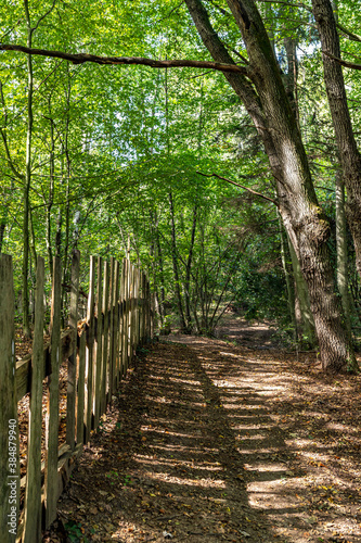 Grazer Urwald