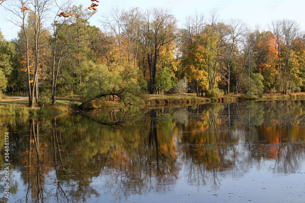 Fototapeta premium autumn in the park
