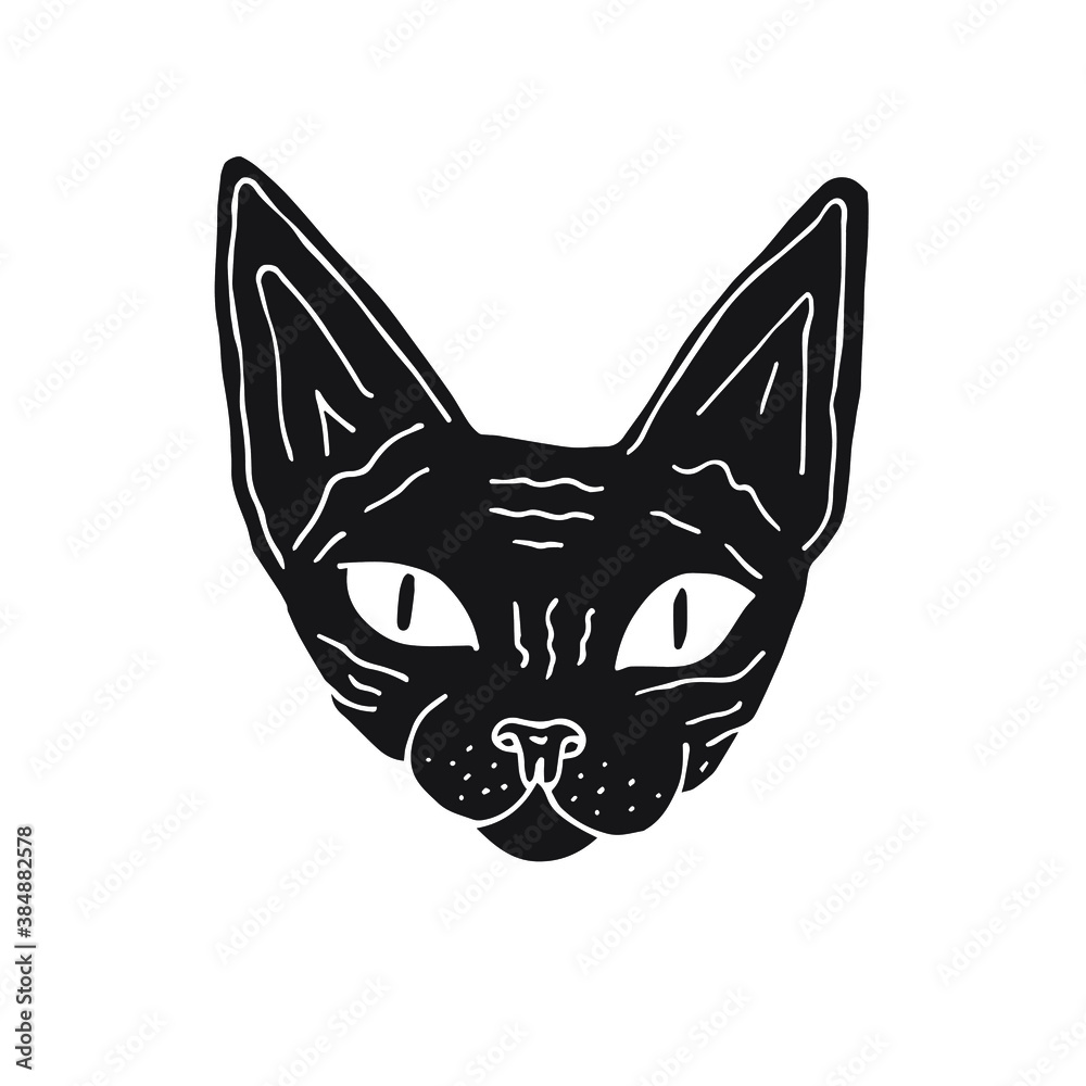 Vector black hand drawn doodle sketch Sphynx cat face isolated on white background Vector black hand drawn doodle sketch Sphynx cat face isolated on white background