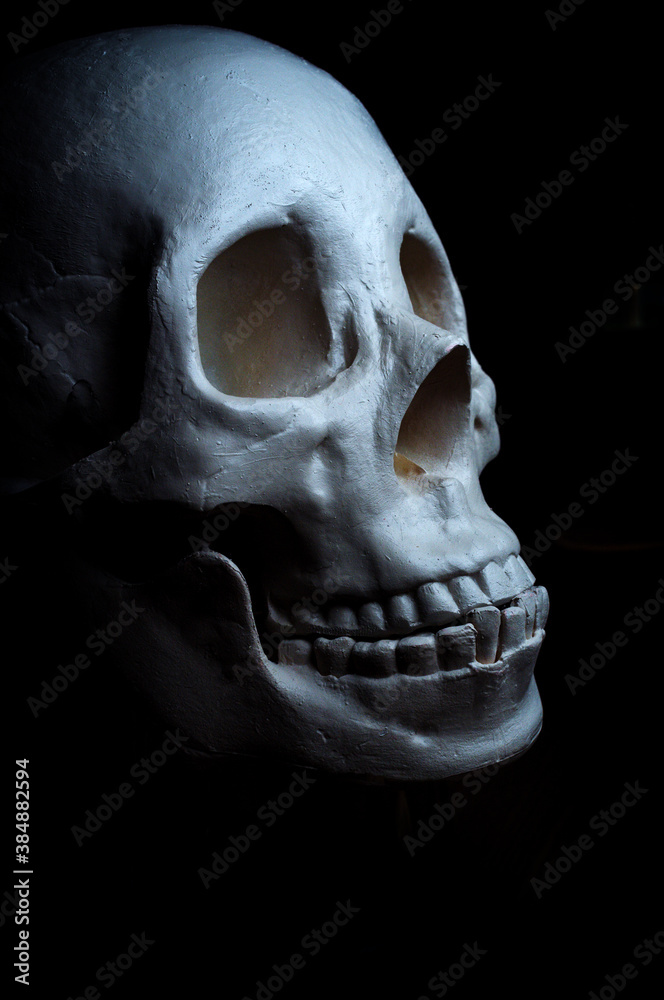 Obraz premium Scary Halloween Skull