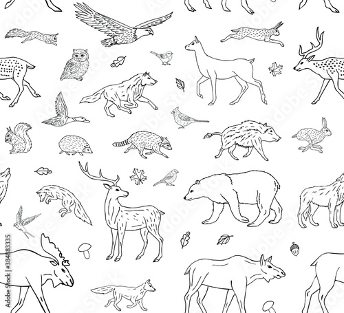 Vector seamless pattern of hand drawn doodle sketch wild forest animals isolated on white background