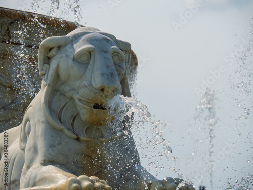 Lazy Lion in a Foutain in the Summer