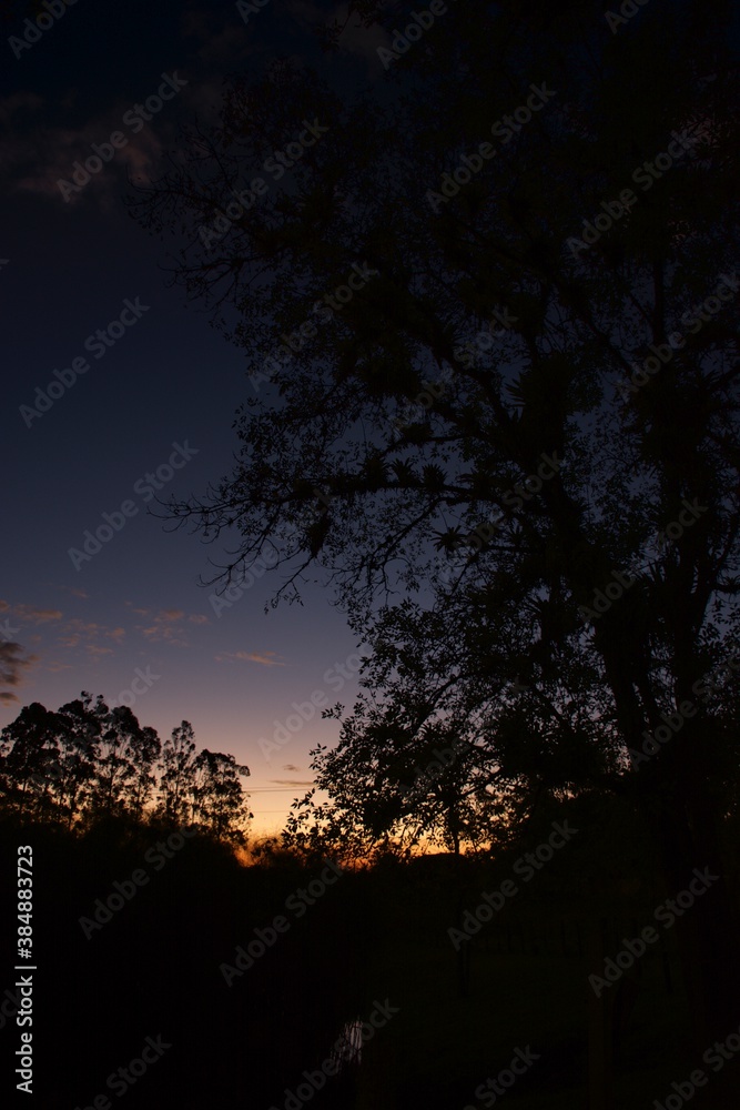 paisaje atardecer