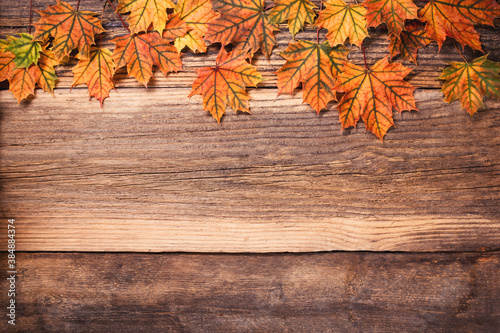 Autumn leaves over a textured vintage rustic wooden background with copy space